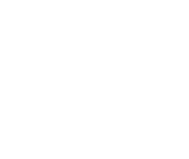 Eleven Masselin